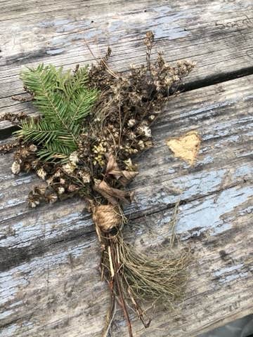 Camper-submitted photo at The Lodge Campground — Scenic State Park near Bigfork, MN