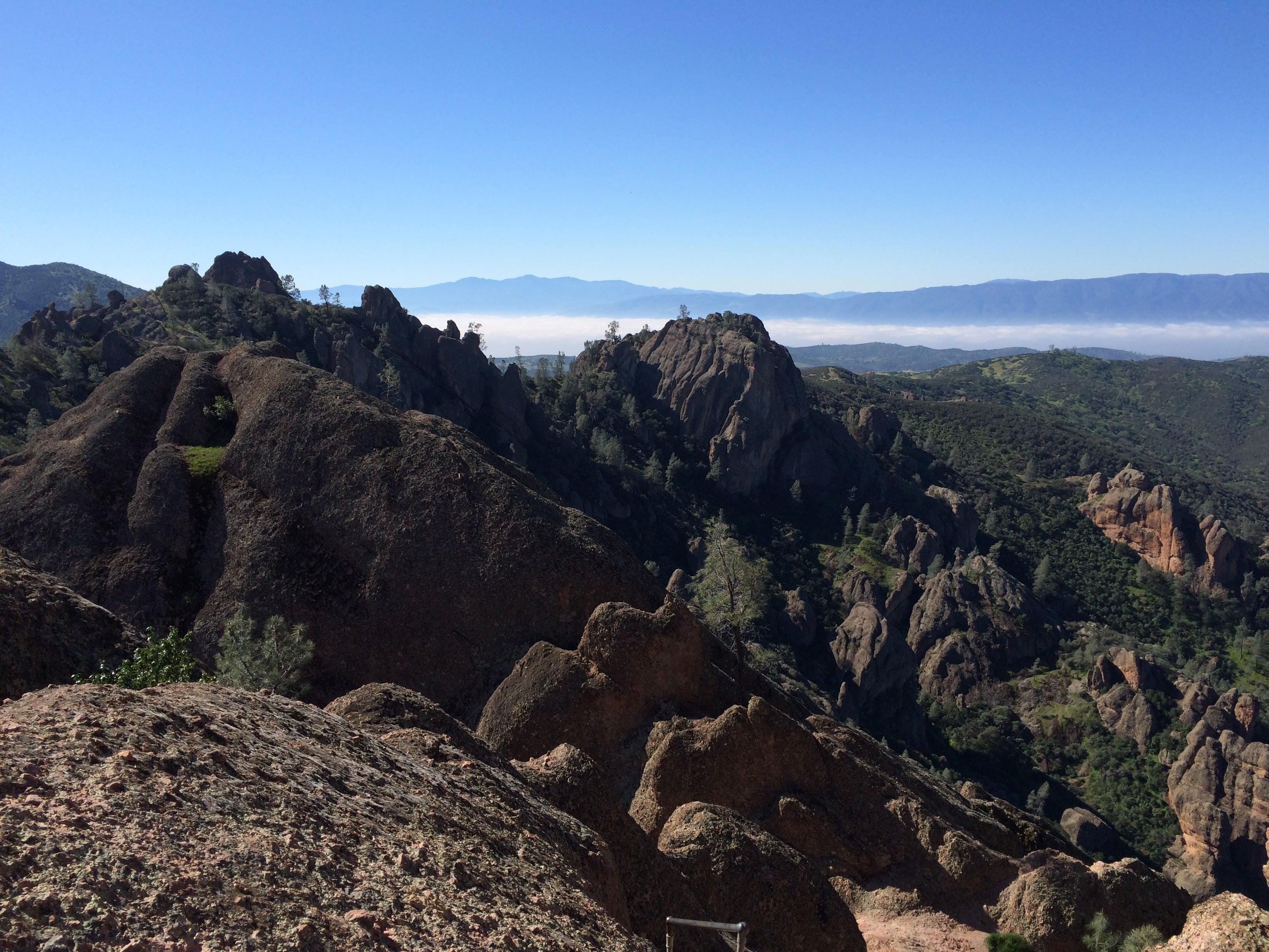 Camper submitted image from Pinnacles Campground — Pinnacles National Park - 2