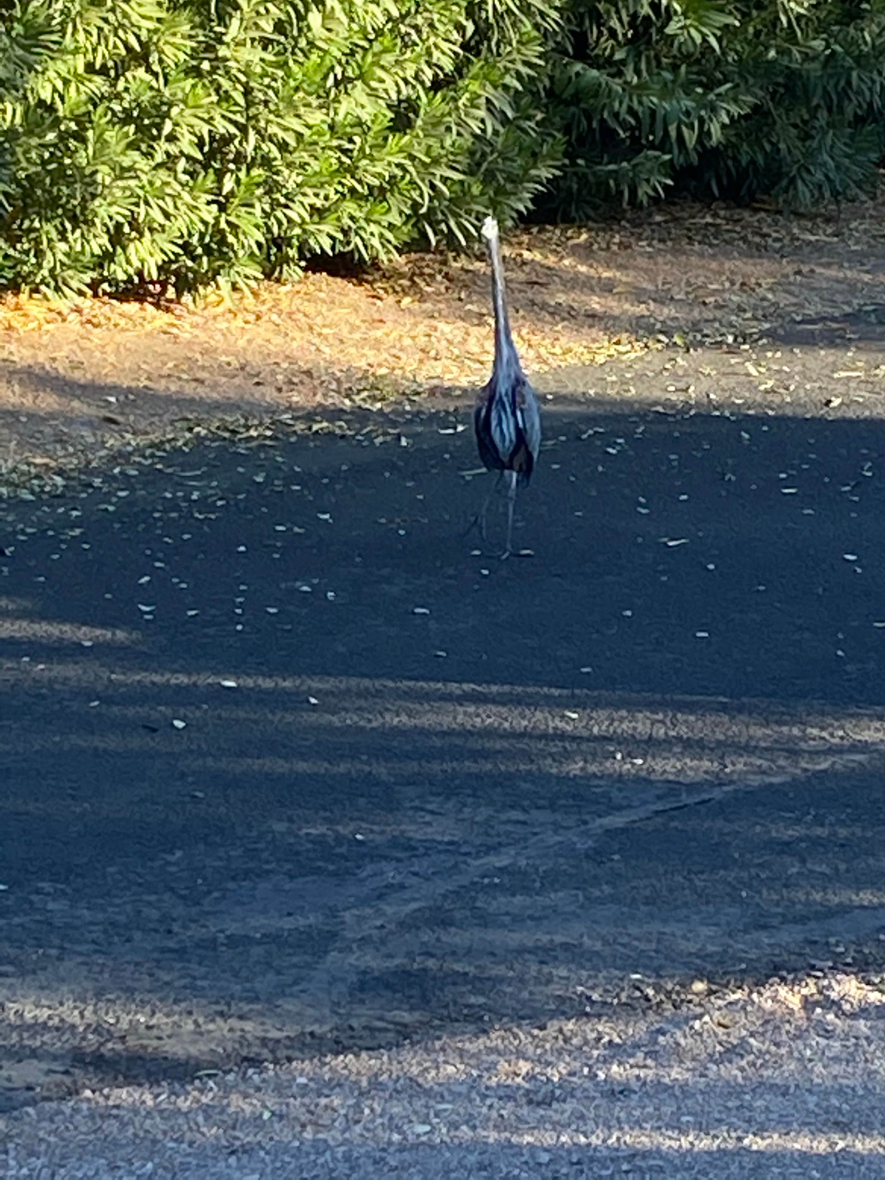 Cattail Cove State Park Campground