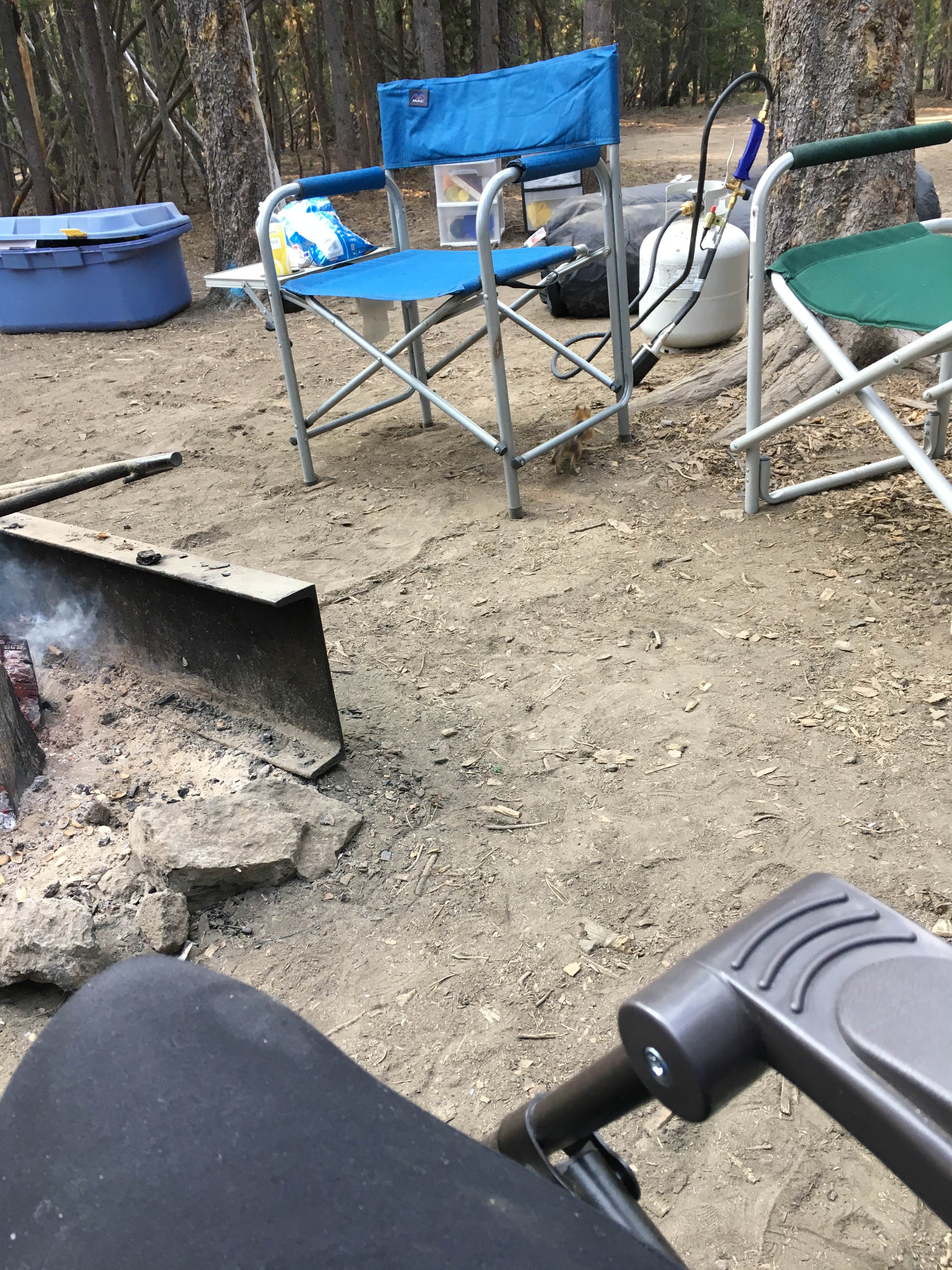 Camper submitted image from Paulina Lake Campground - 4