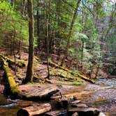 Review photo of Wolfkiel Run Shelters — Oil Creek State Park by Britt B., October 27, 2020