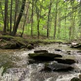 Review photo of Wolfkiel Run Shelters — Oil Creek State Park by Britt B., October 27, 2020