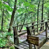 Review photo of Wolfkiel Run Shelters — Oil Creek State Park by Britt B., October 27, 2020