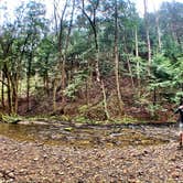 Review photo of Breakneck Campground by Britt B., October 27, 2020