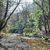 Review photo of Breakneck Campground by Britt B., October 27, 2020