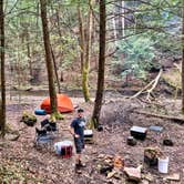 Review photo of Breakneck Campground by Britt B., October 27, 2020