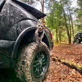 Review photo of Breakneck Campground by Britt B., October 27, 2020