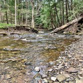 Review photo of Breakneck Campground by Britt B., October 27, 2020