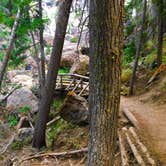 Review photo of Paulina Lake Campground by Linda P., May 22, 2018