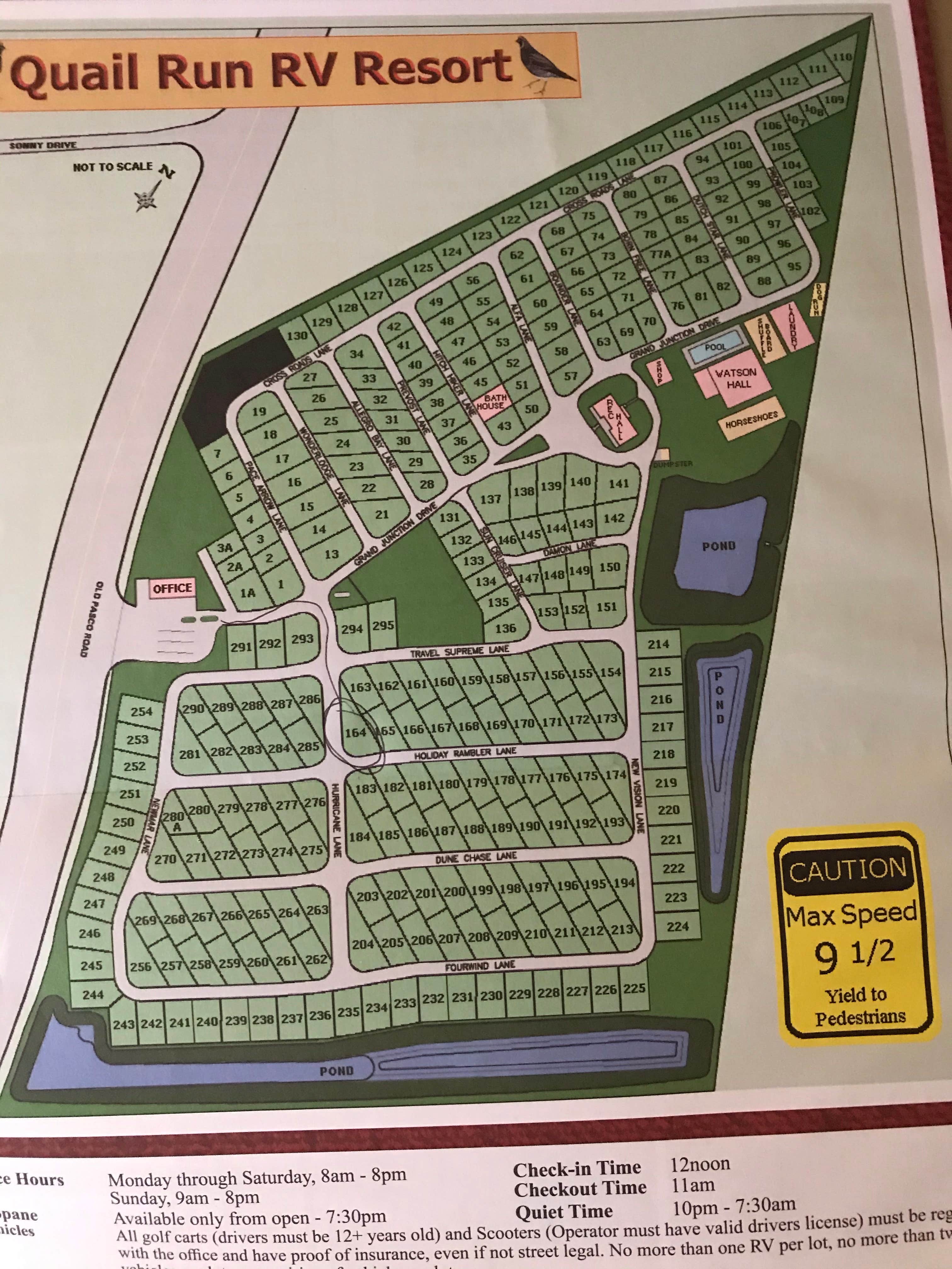 Camper-submitted photo at Quail Run RV Park near Lutz, FL