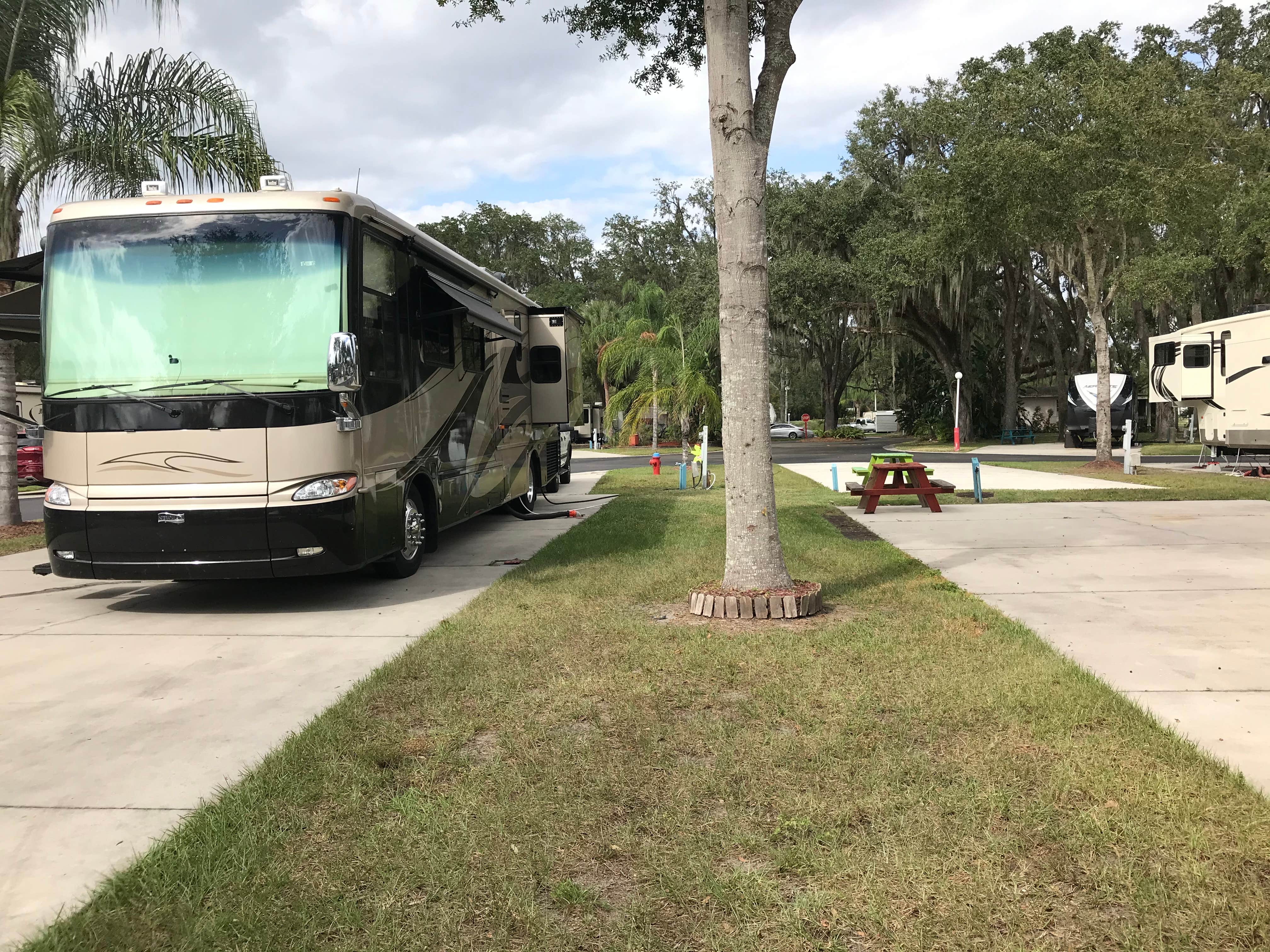 Camper-submitted photo at Quail Run RV Park near Lutz, FL