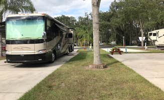 Lucile F.'s photo of rv camping at Quail Run RV Park near Zephyrhills, FL