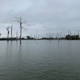 Review photo of Poverty Point Reservoir State Park by Denise , October 27, 2020