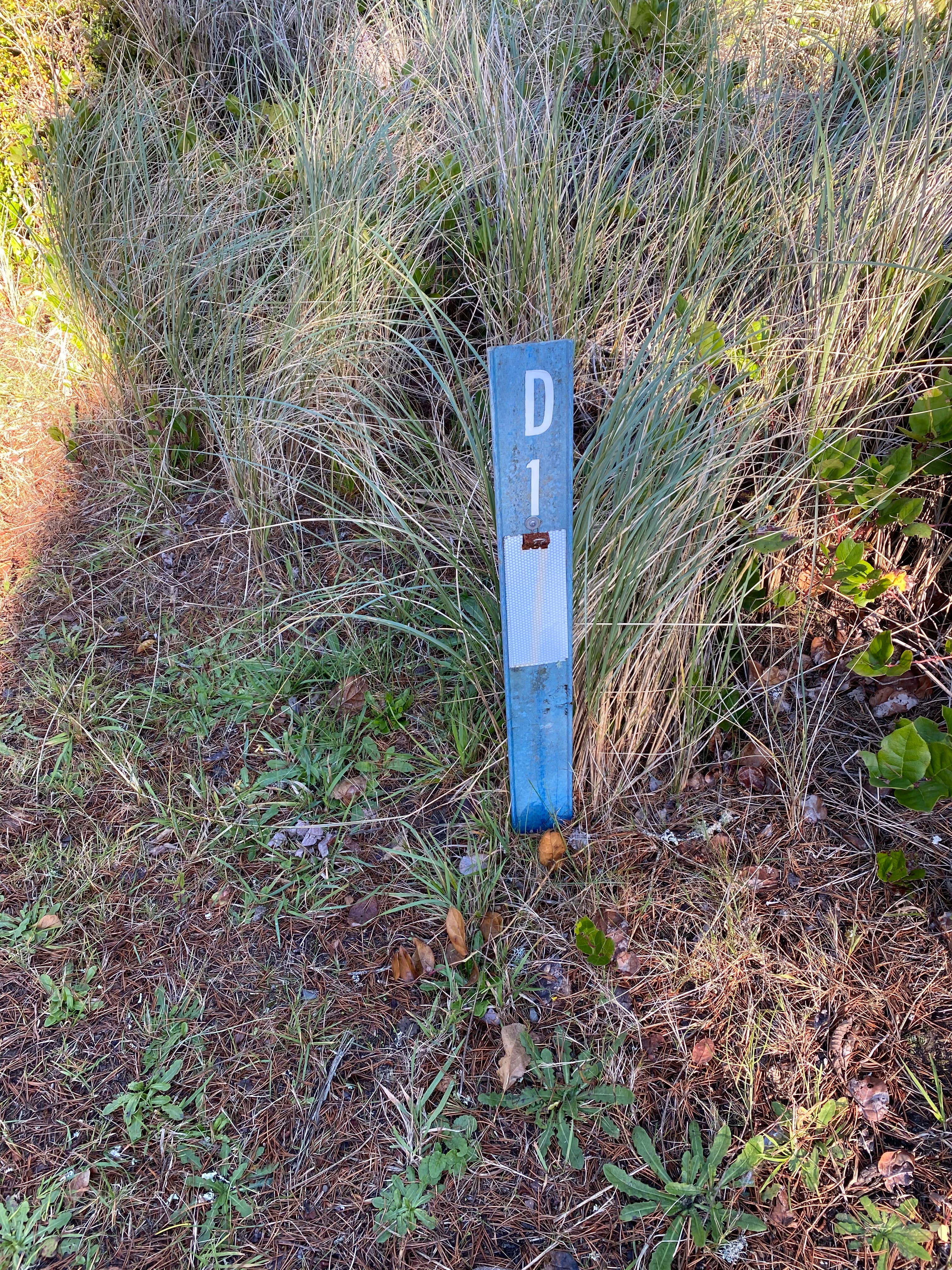 Camper-submitted photo at Barview Jetty County Campground near Cannon Beach, OR