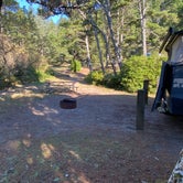 Review photo of Barview Jetty County Campground by Sarah S., October 27, 2020