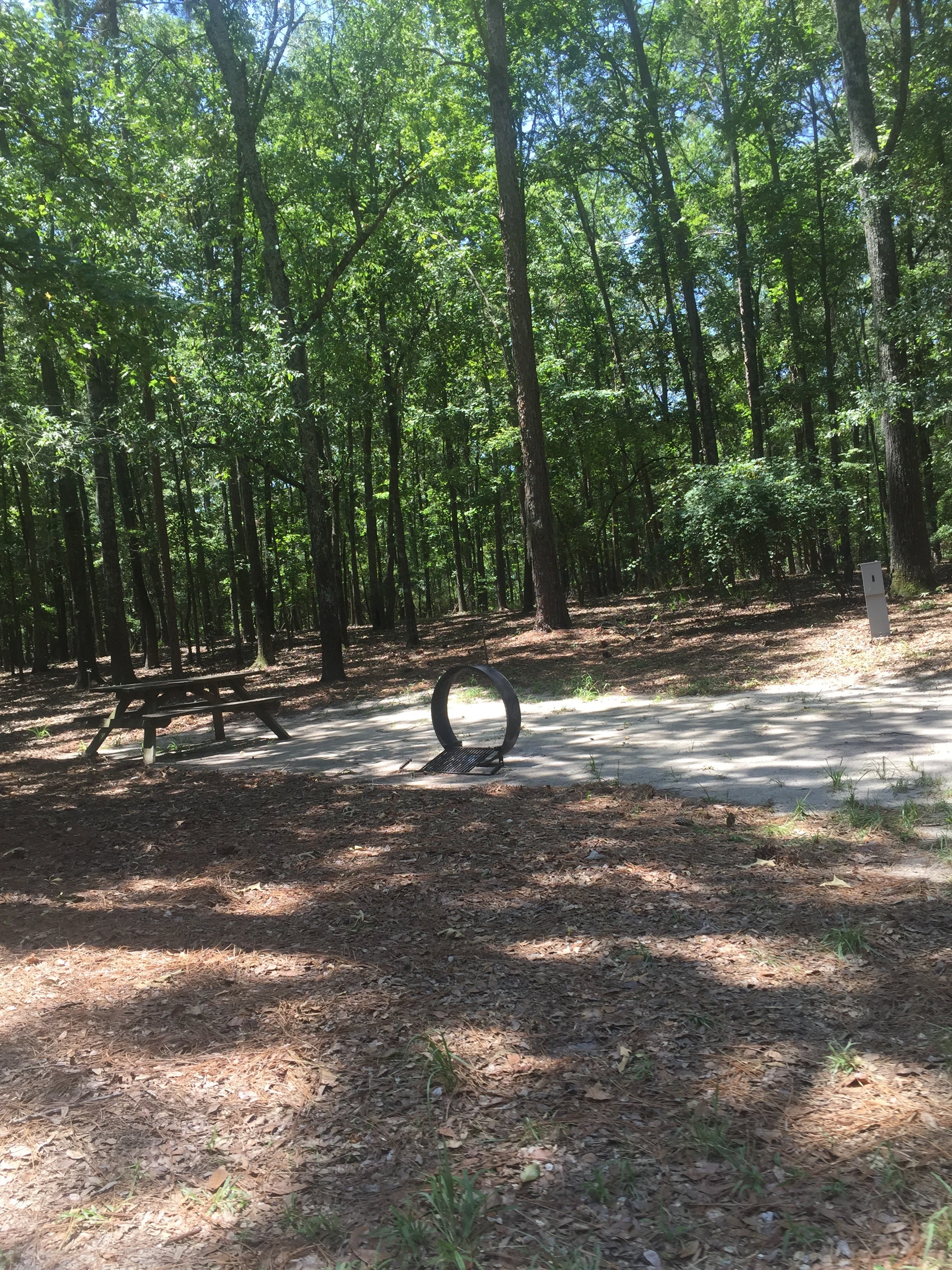 Camper submitted image from Cypress View Campground — Santee State Park - 2