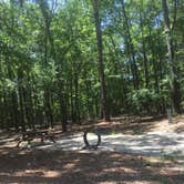 Review photo of Cypress View Campground — Santee State Park by Matt G., July 9, 2016