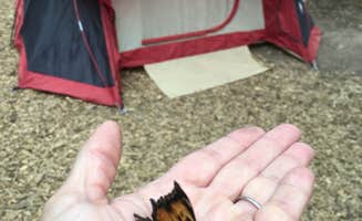 Linda P.'s photo at Paulina Lake Campground near La Pine, OR