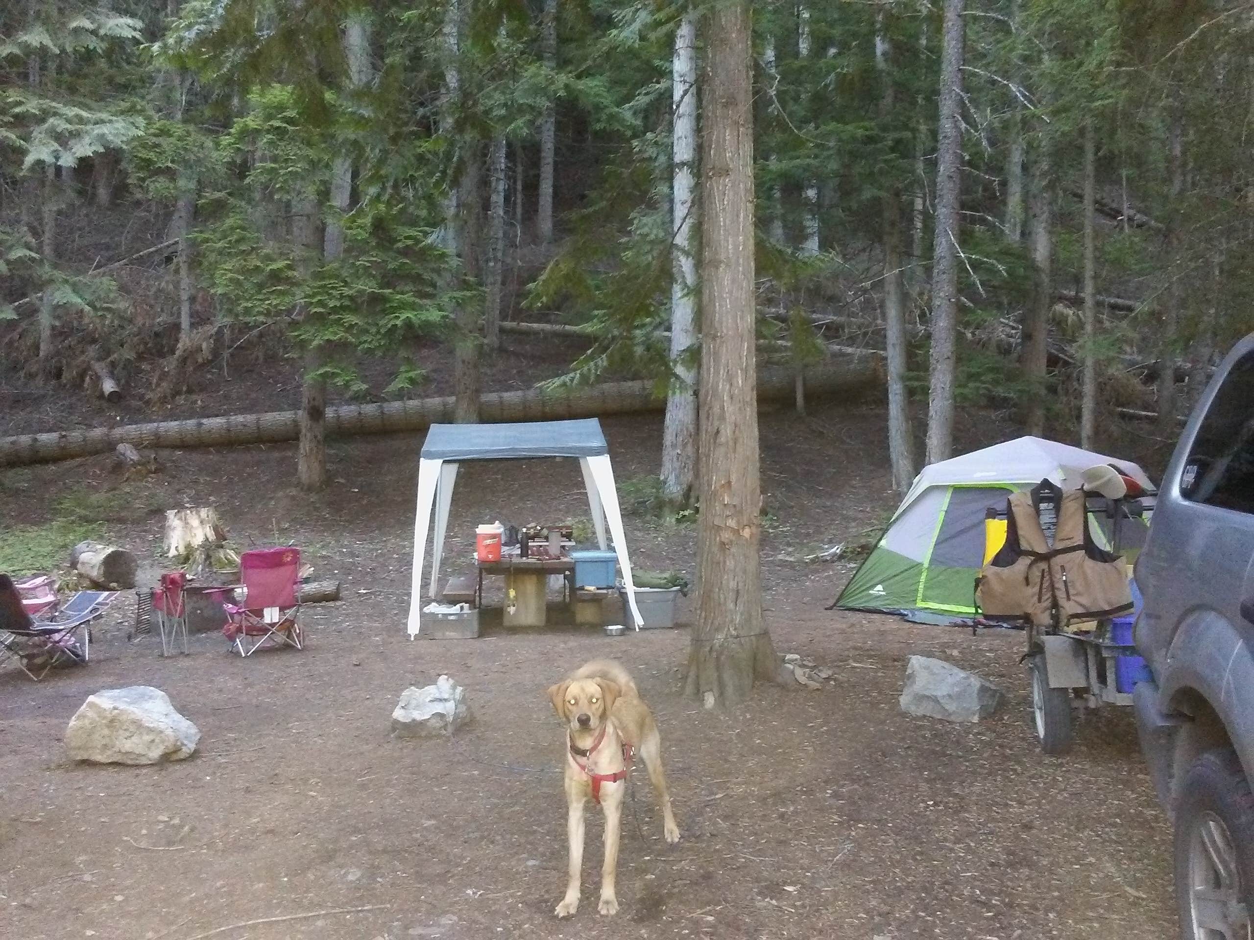 Terrie M.'s photo of camping with pets at Browns Lake Campground near Ione, WA