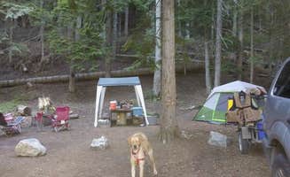 Terrie M.'s photo of camping with pets at Browns Lake Campground near Cusick, WA