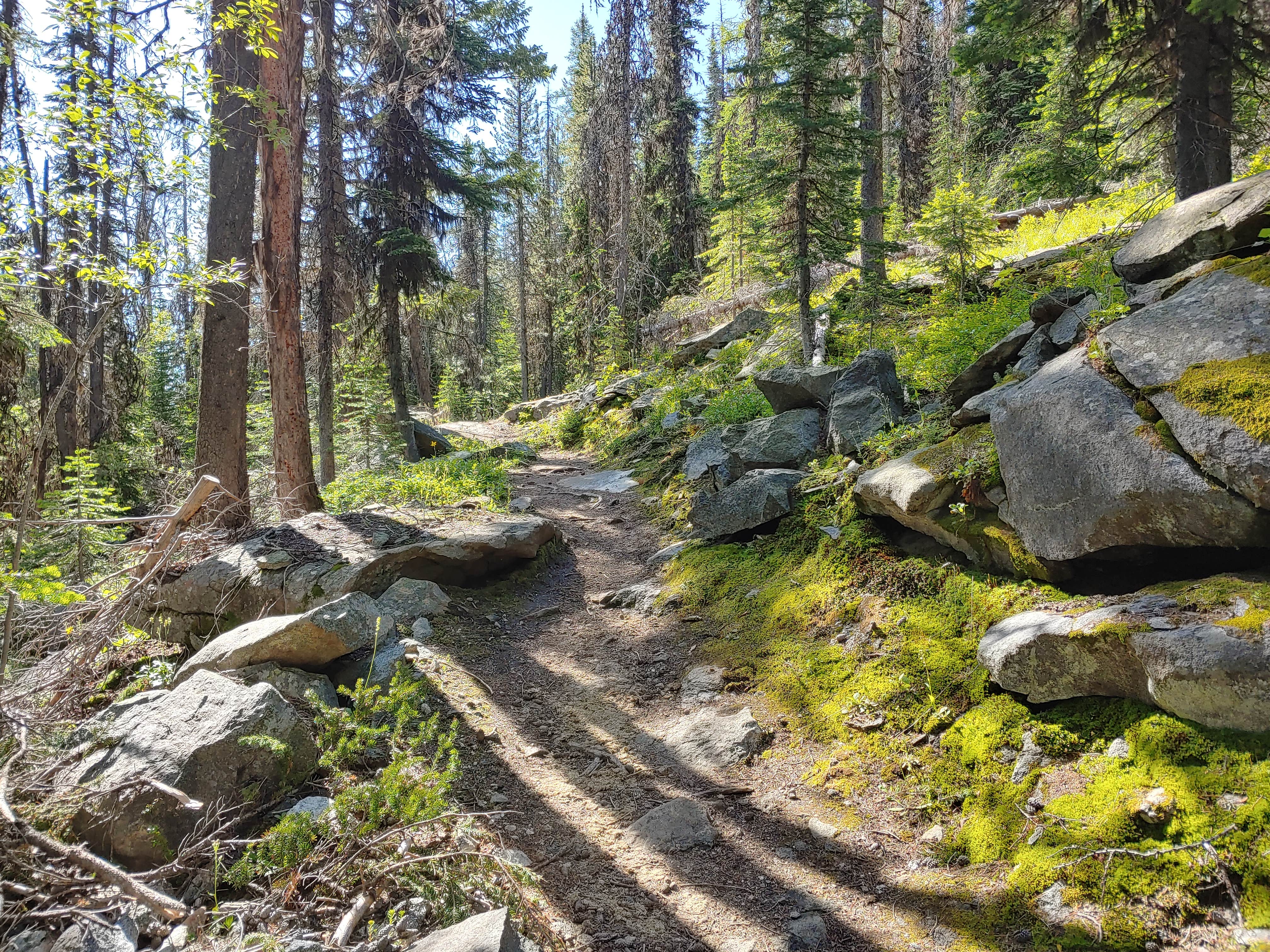 Camper submitted image from Kettle Falls Campground — Lake Roosevelt National Recreation Area - 3