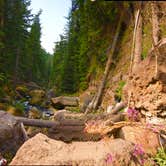 Review photo of Paulina Lake Campground by Linda P., May 22, 2018