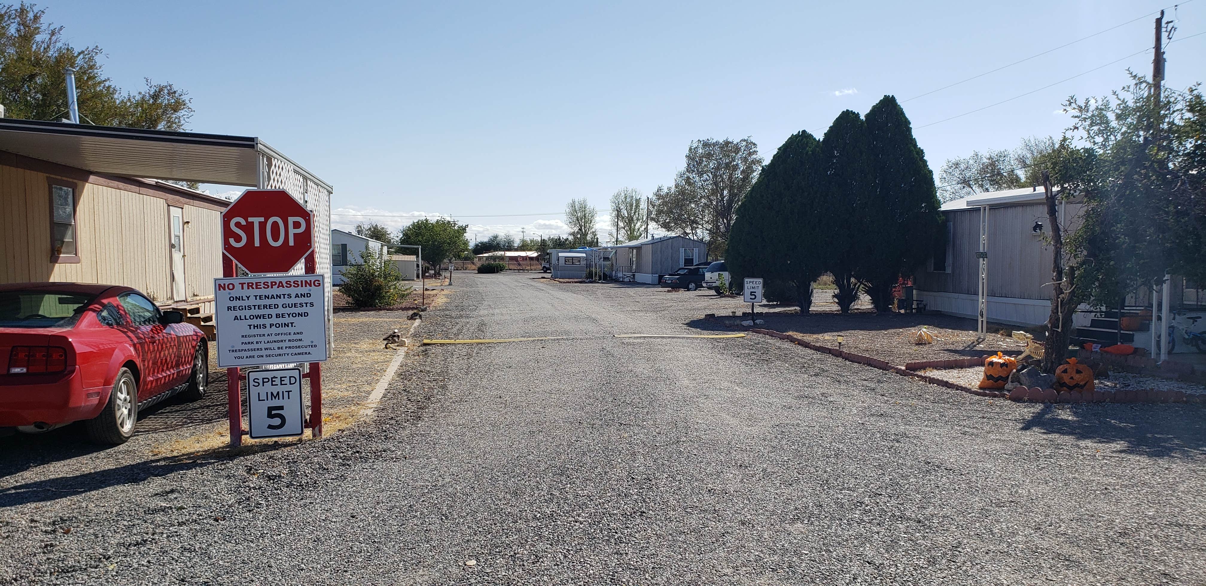 Camper-submitted photo at Grande Vista RV Park near Willcox, AZ