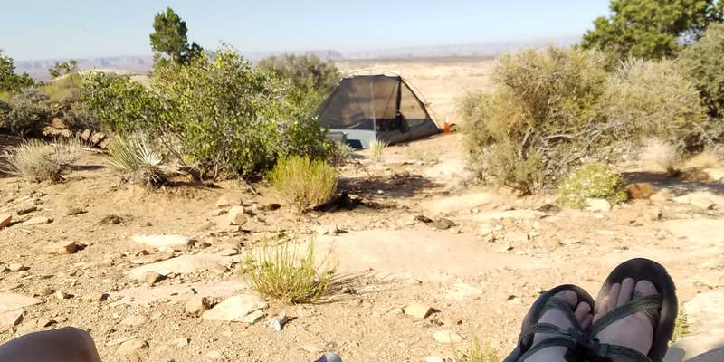 Camper submitted image from Muley Point — Glen Canyon National Recreation Area