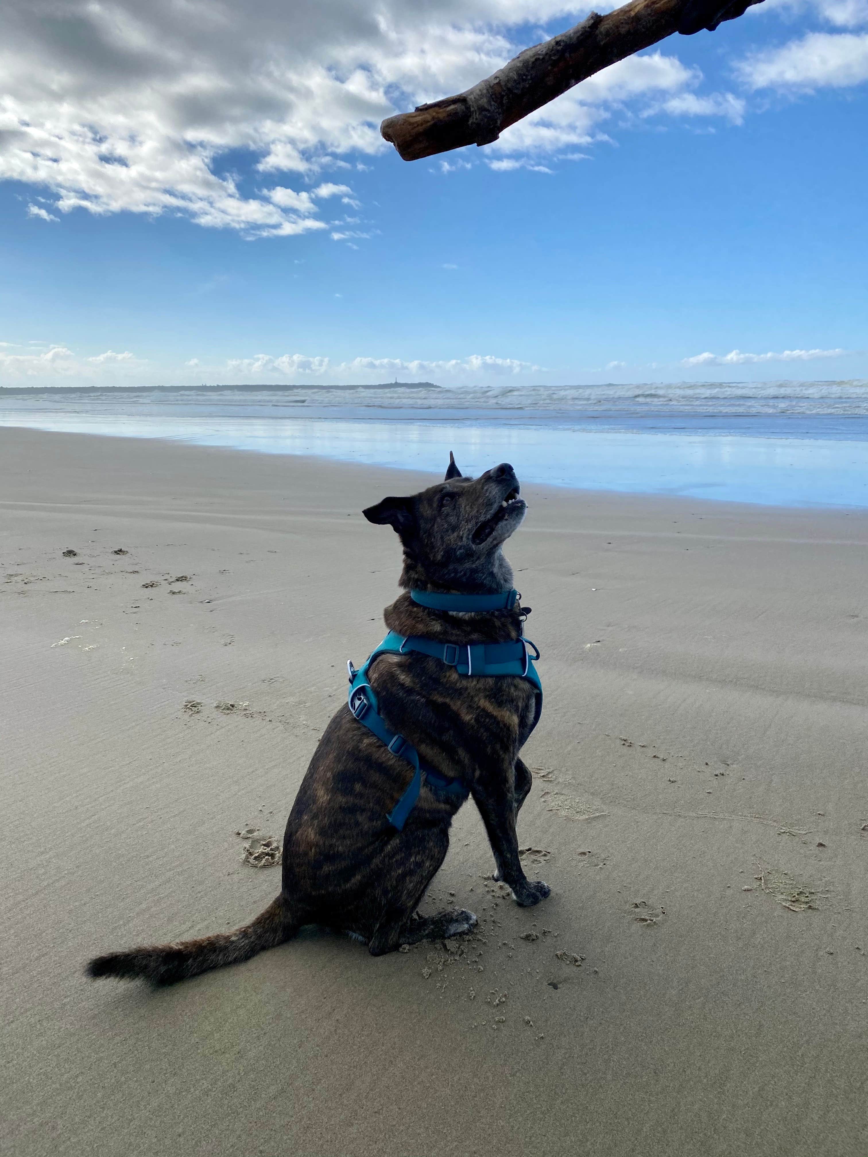 Camper-submitted photo at Barview Jetty County Campground near Cannon Beach, OR