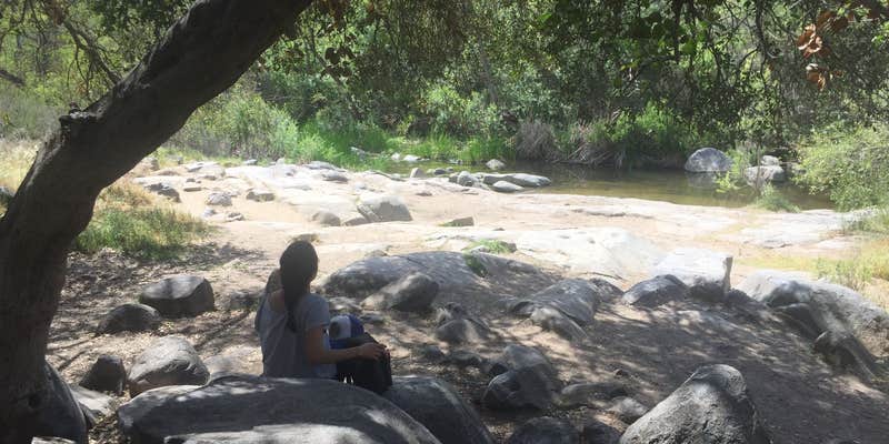 Camper submitted image from Kumeyaay Lake Campground