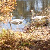 Review photo of Parvin State Park Campground by John S., October 27, 2020