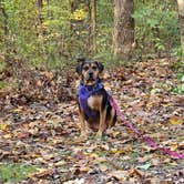 Review photo of Nockamixon State Park Campground by John S., October 27, 2020