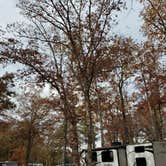 Review photo of Yogi Bear's Jellystone Park at Natural Bridge by Bridget H., October 27, 2020