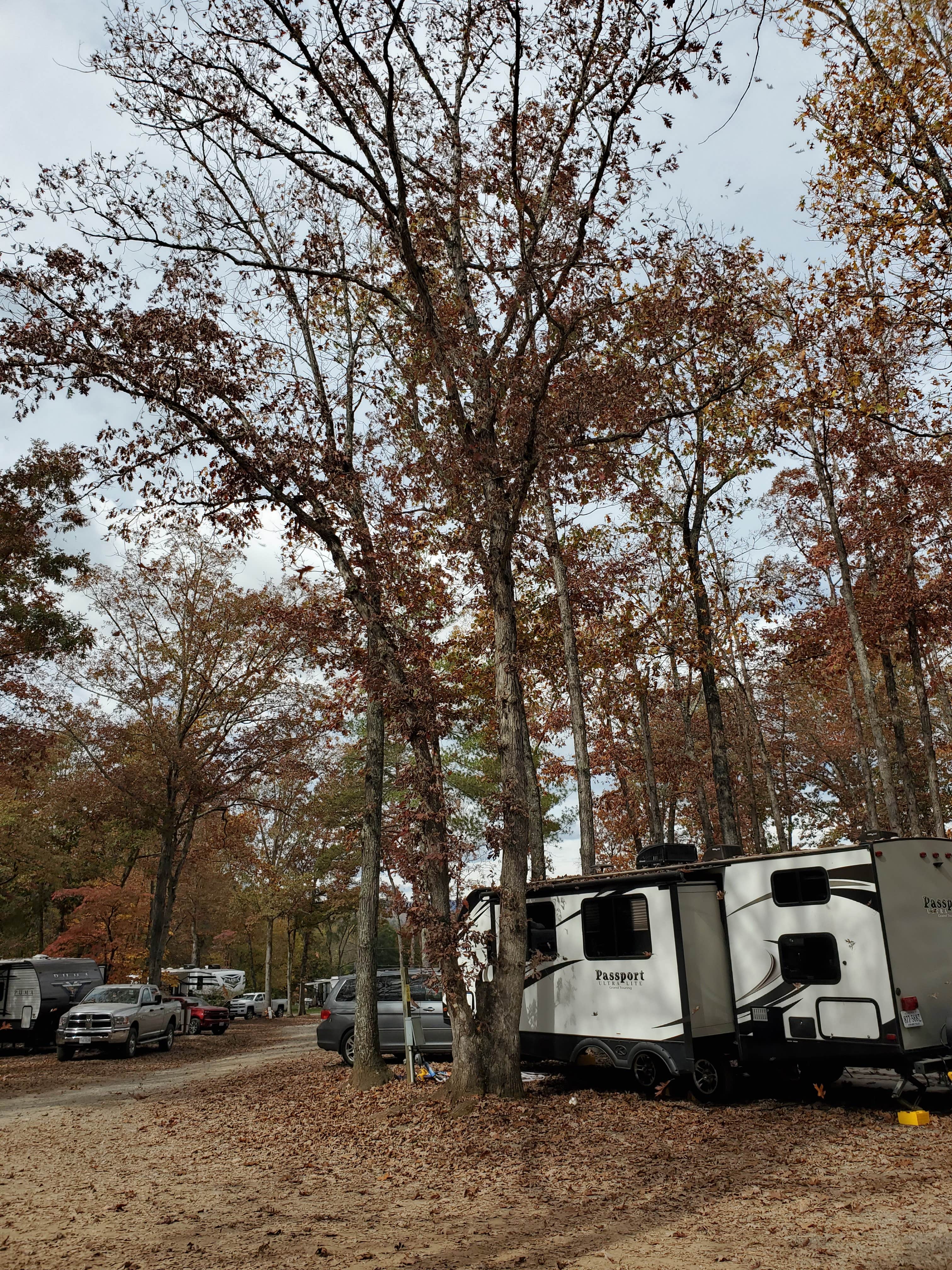 Camper submitted image from Yogi Bear's Jellystone Park at Natural Bridge - 4