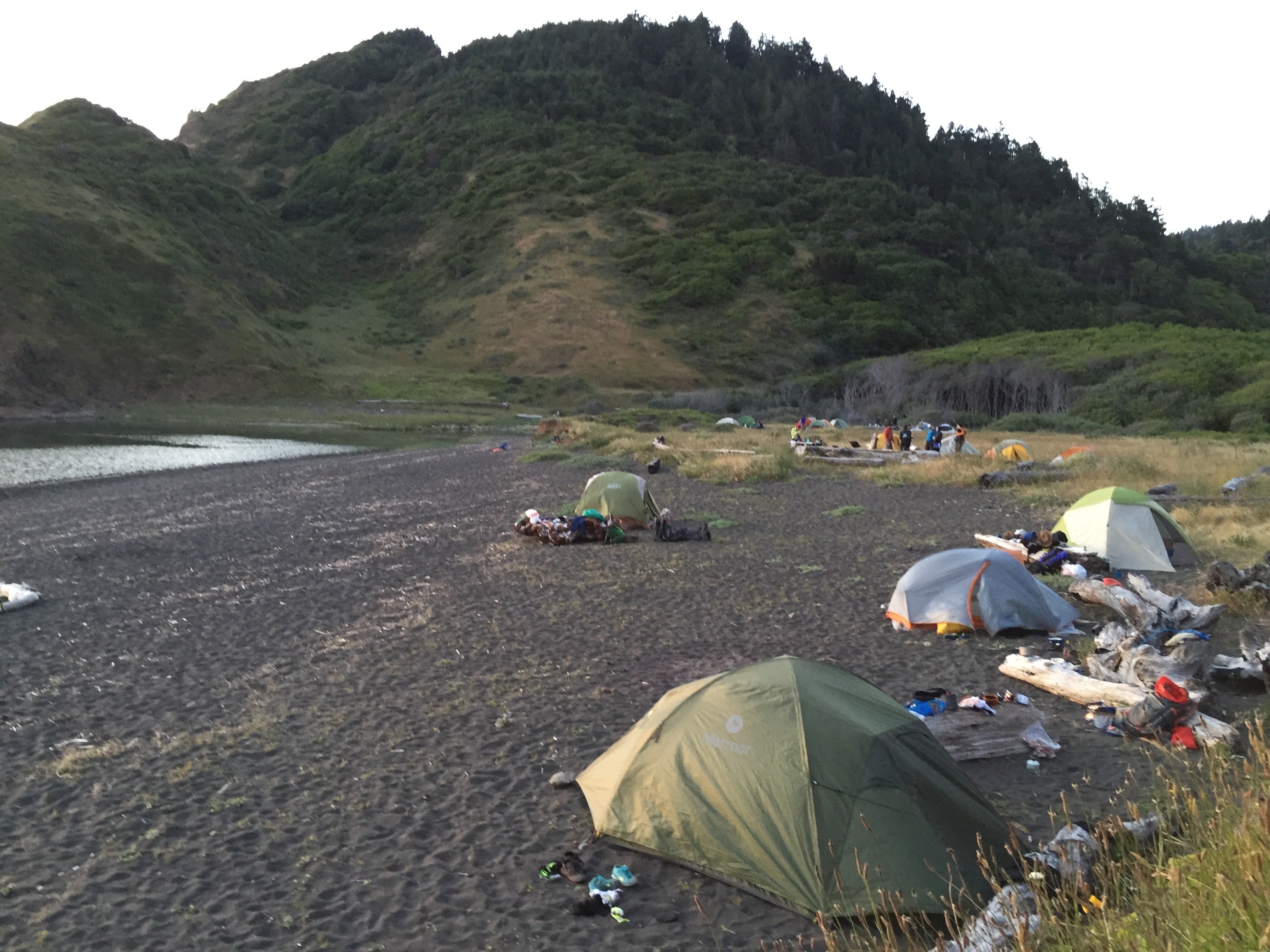 Camper submitted image from Usal Beach Campsites — Sinkyone Wilderness State Park - 5