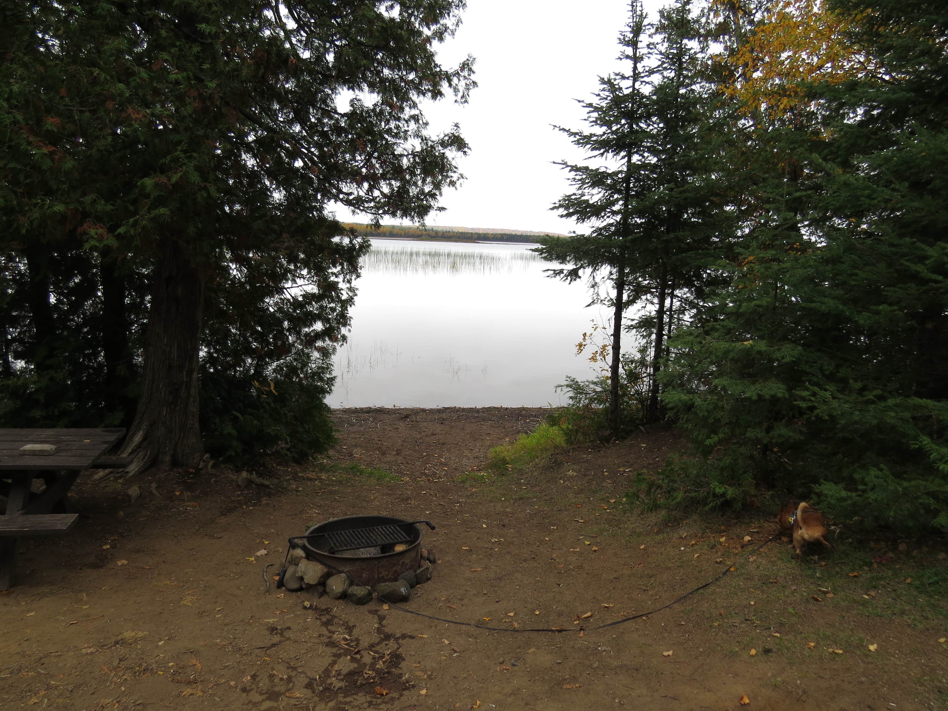 Camper-submitted photo at Toohey Lake Rustic Campground near Tofte, MN