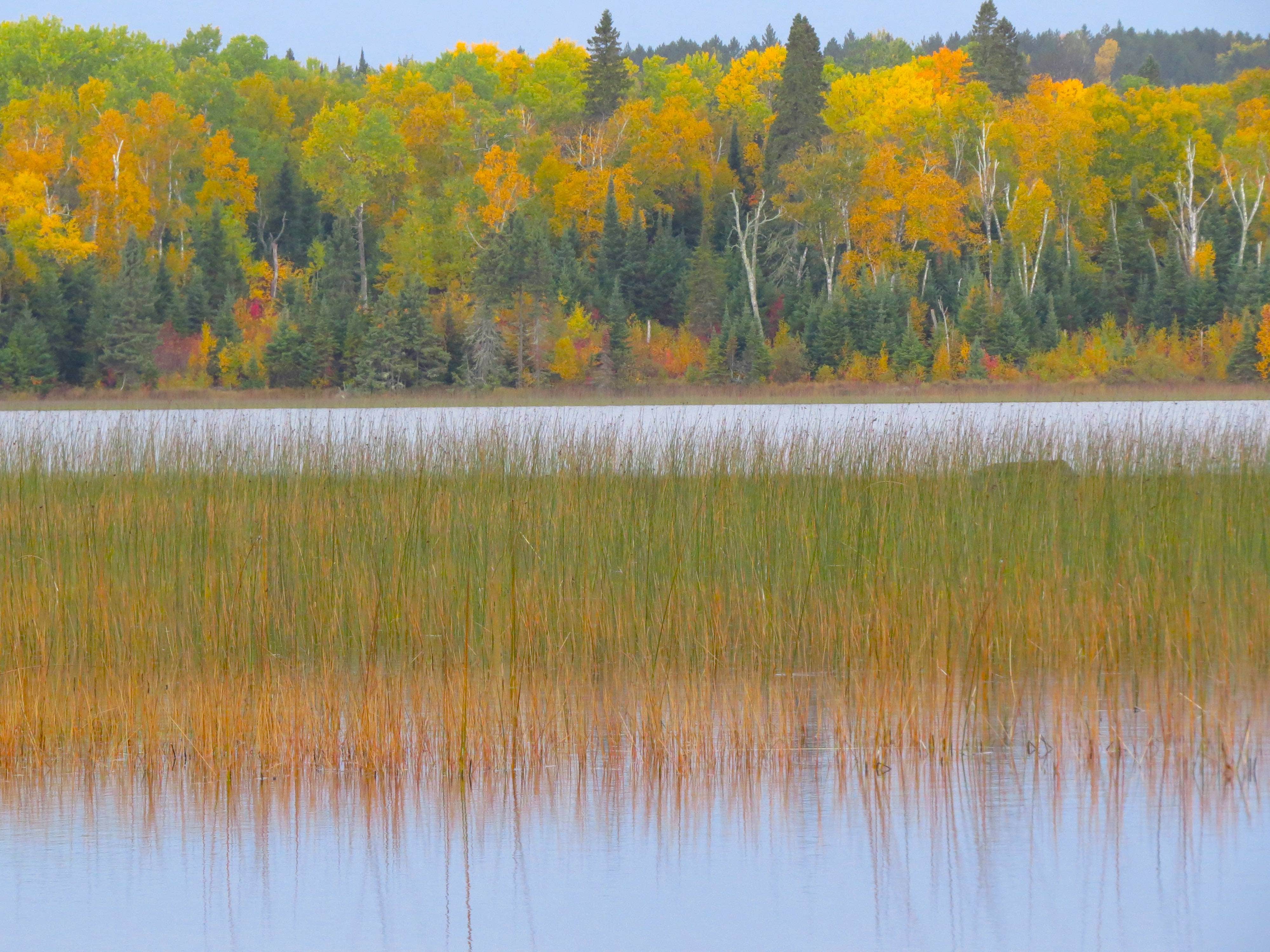 Camper-submitted photo at Toohey Lake Rustic Campground near Tofte, MN
