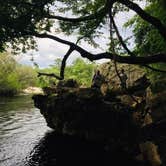 Review photo of Suwannee River State Park Campground by Leah , October 27, 2020