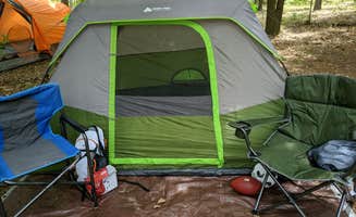 Leah's photo at Suwannee River State Park Campground near Suwannee, FL
