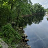 Review photo of Suwannee River State Park Campground by Leah , October 27, 2020