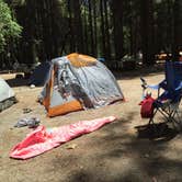 Review photo of Camp 4 — Yosemite National Park by Rachel O., May 22, 2018