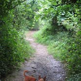Review photo of Dunewood Campground — Indiana Dunes National Park by Micky M., October 28, 2020