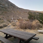 Review photo of Silver Lake Campground at June Lake by Rachel C., October 28, 2020
