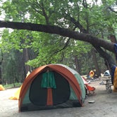 Review photo of Camp 4 — Yosemite National Park by Rachel O., May 22, 2018