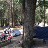 Review photo of Camp 4 — Yosemite National Park by Rachel O., May 22, 2018