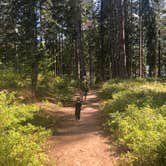 Review photo of Lake Wenatchee State Park Campground by Michael L., October 28, 2020