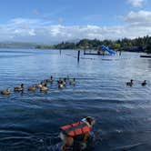 Review photo of Vasa Park Resort - CLOSED FOR 2023 by Amy H., October 28, 2020