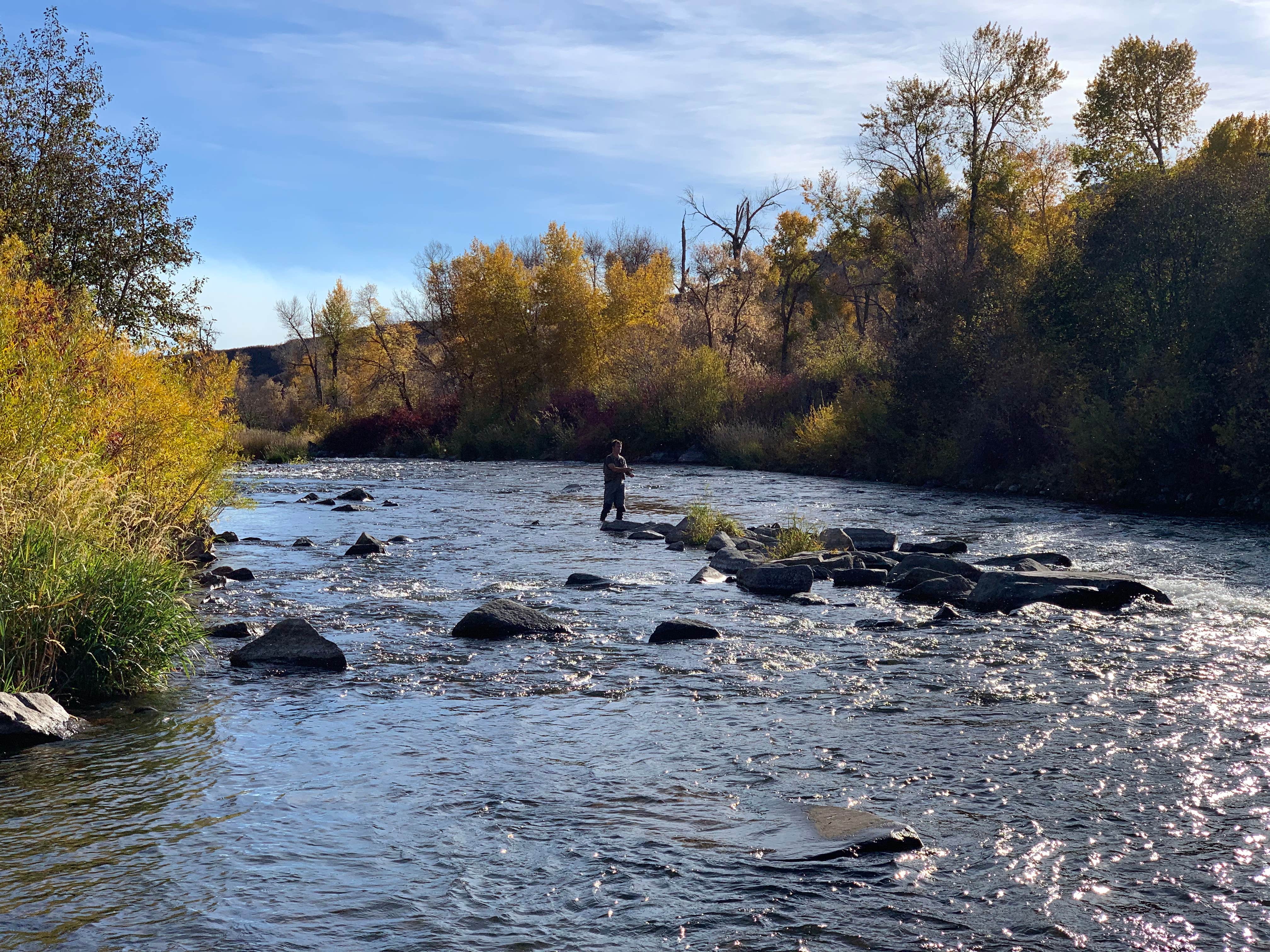 Camper submitted image from River's Edge at Deer Park - 2