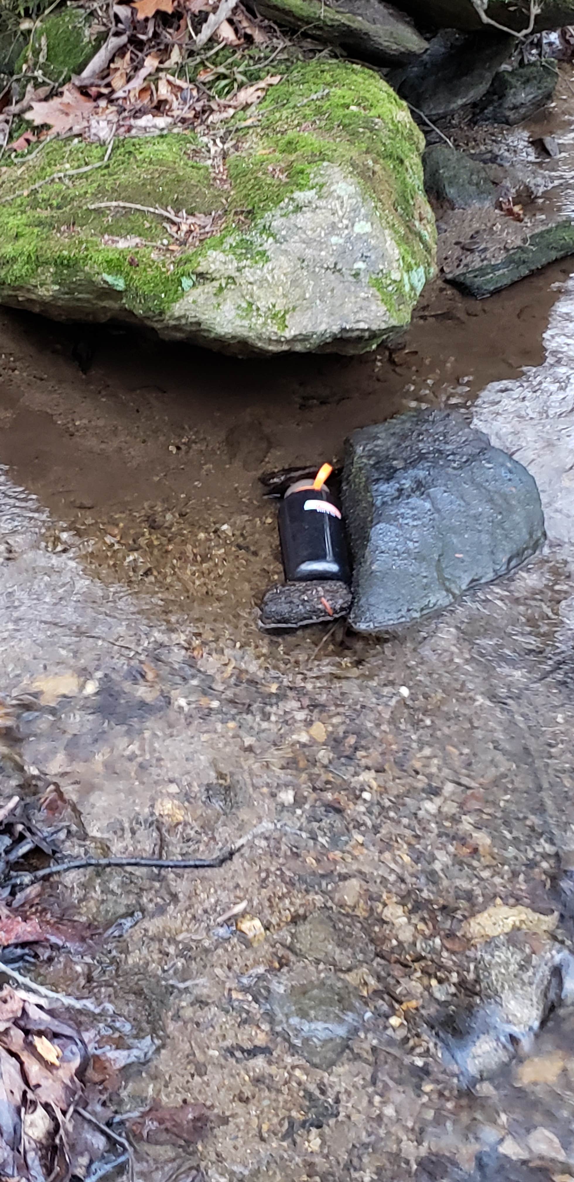 Camper submitted image from Michaux State Forest - 3