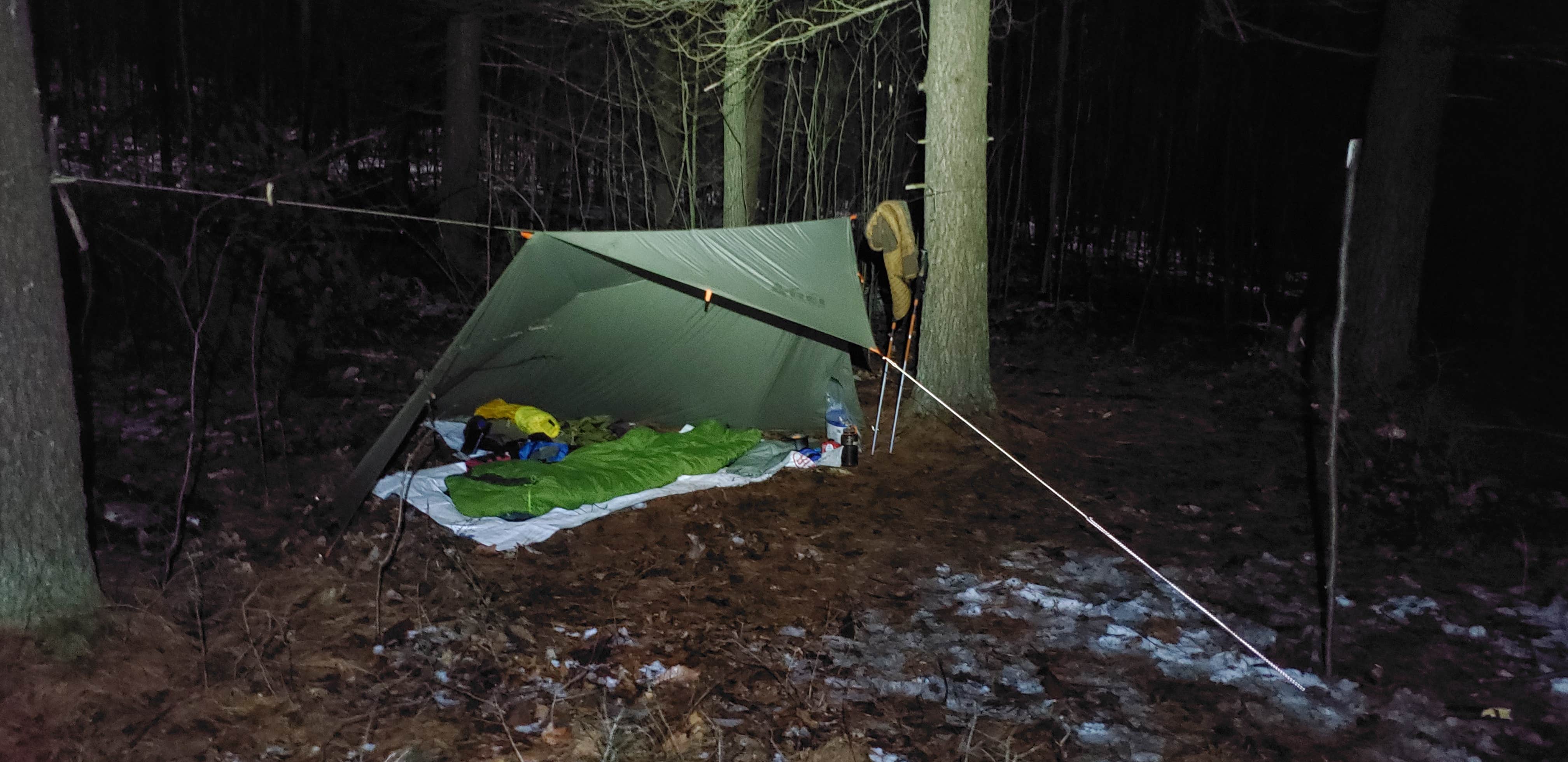 Camper submitted image from Michaux State Forest - 2